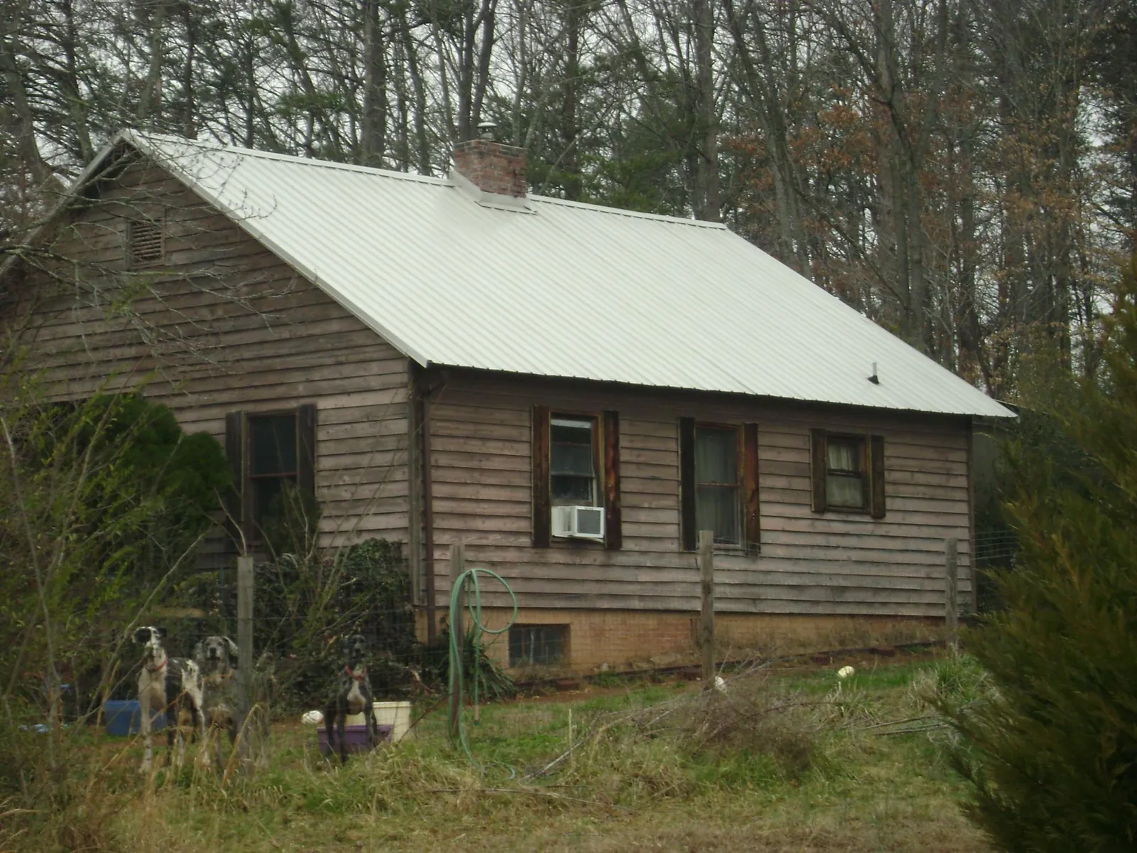 White metal roof on an old wood sided farmhouse, from a Asphalt Shingle Roof Repair job in Webster